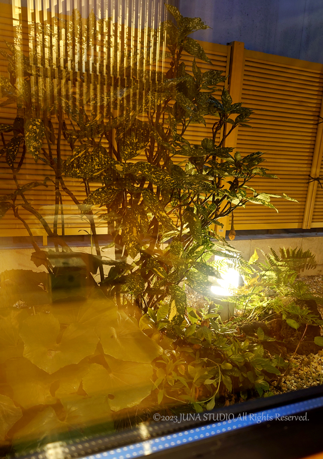 soba07230