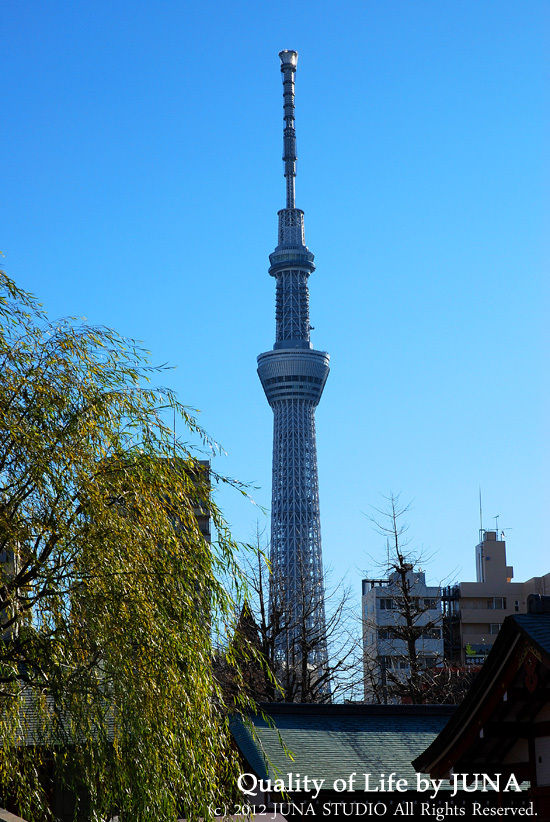 今年も一年お世話になりました。