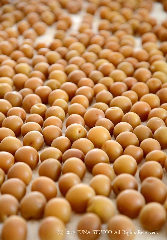 梅干し作りのお話~前半~ (作り方もちゃんとのせておこう)