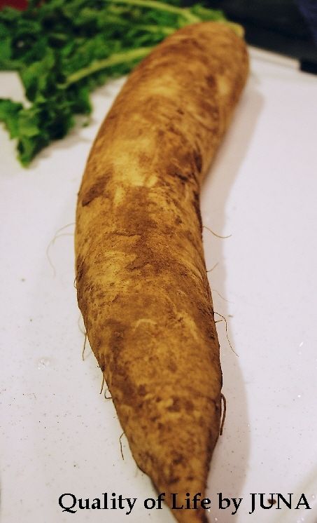 daikon1109-q.jpg