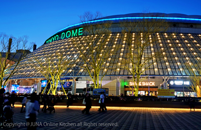dome-j
