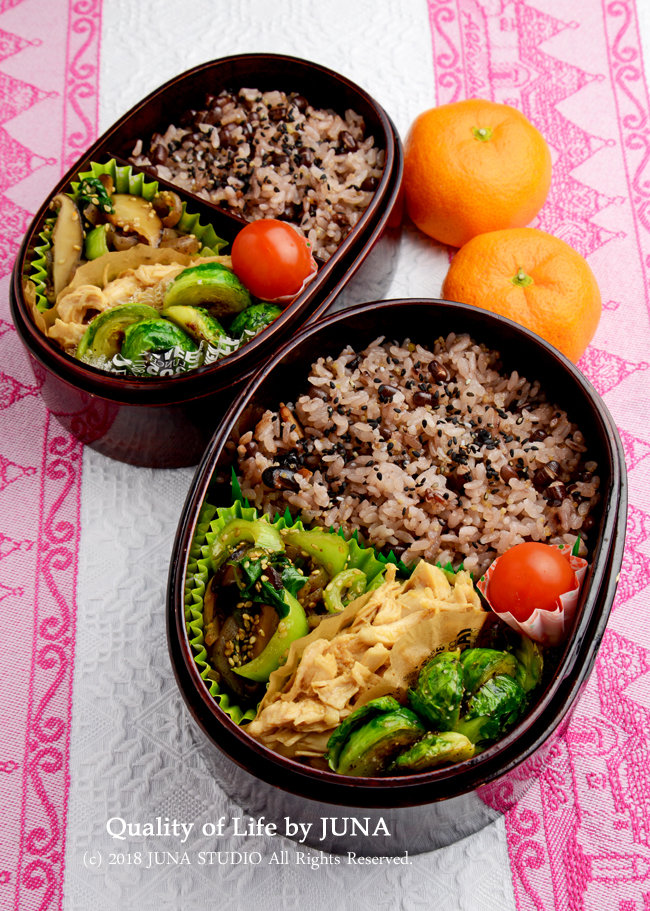 【今日のおべんと】ゆでささみのわさび和えのお弁当／朝鍋