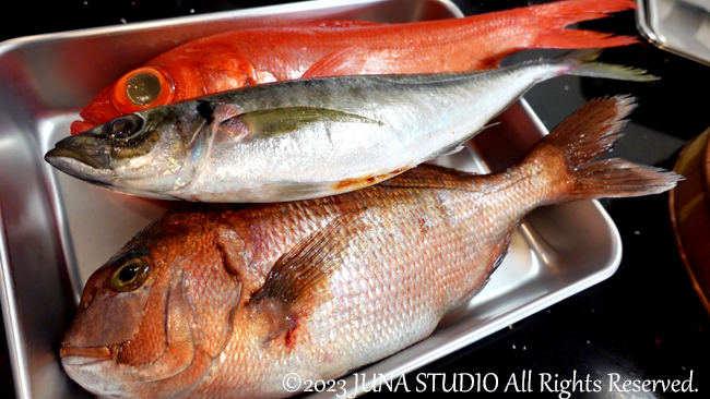 魚1