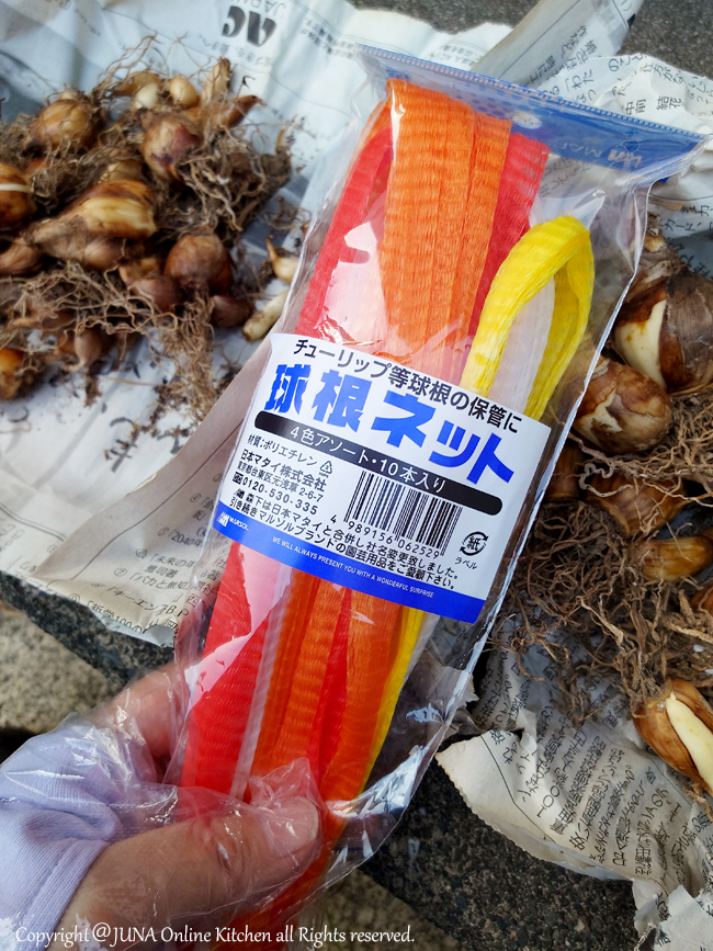 kyuukon207265