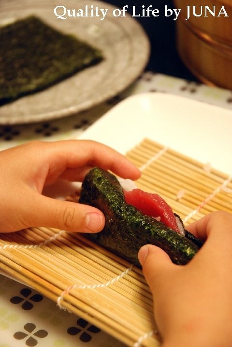 temaki-dm3.jpg