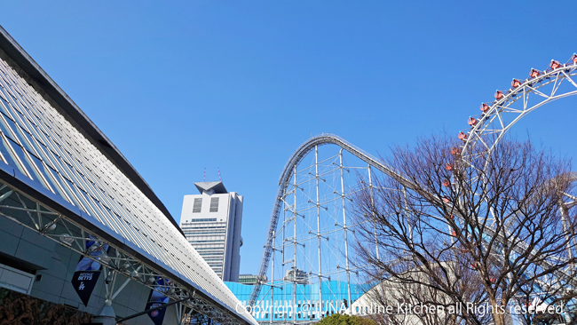 dome-g