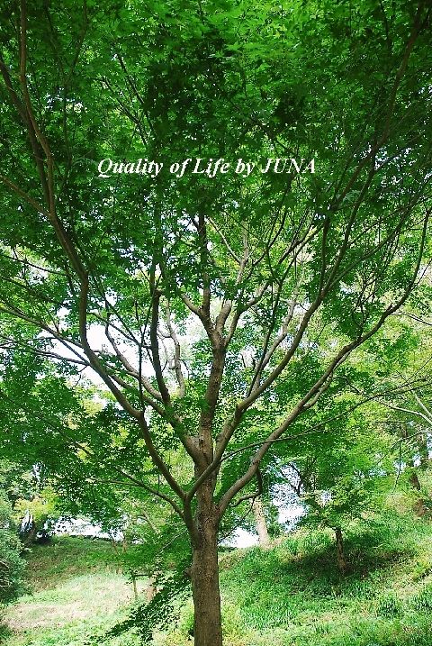 秋を見つけに・・・