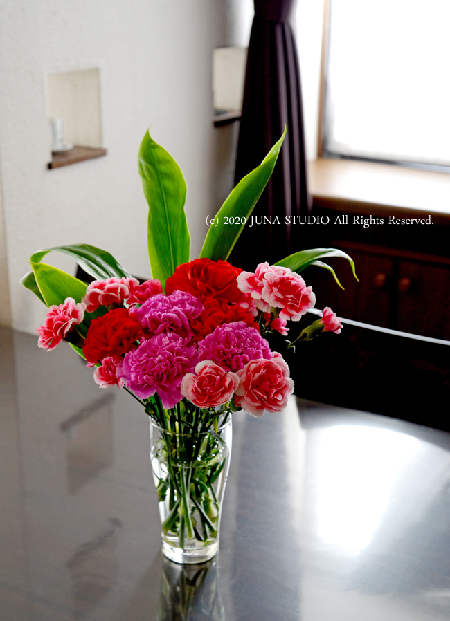 hahanohi05202