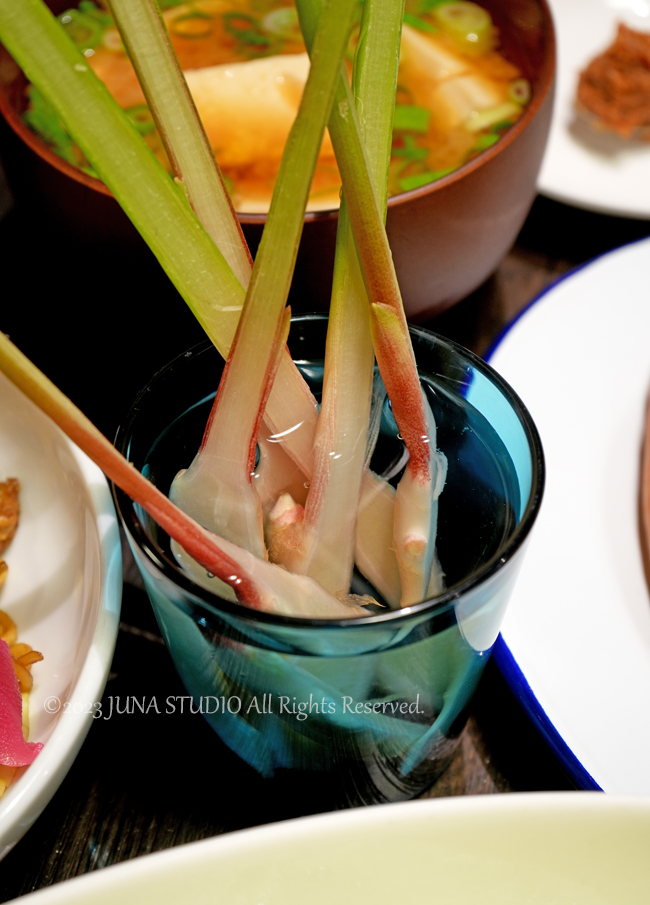 yakisoba05234