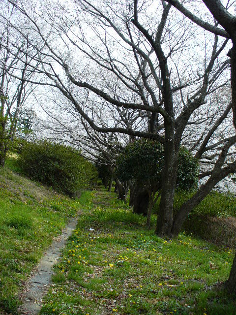 P1090986.jpg