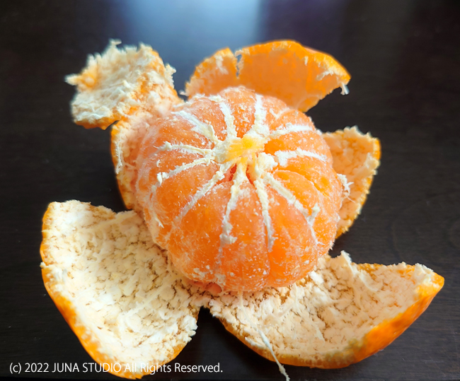 mikan03224