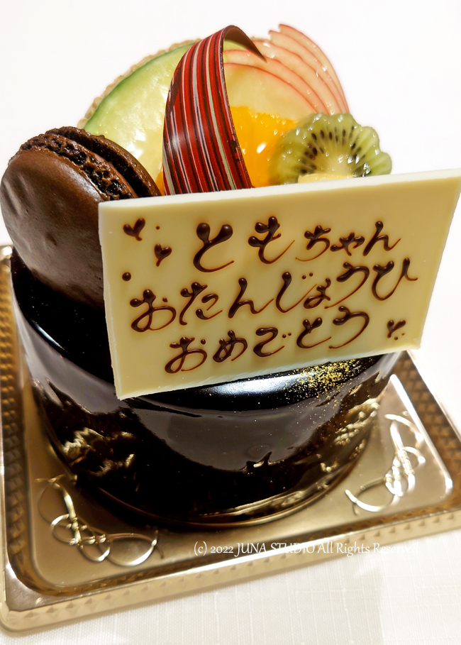 tomobt032211