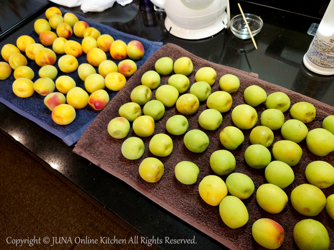 umeboshi0624f