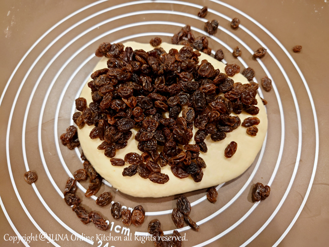 raisin-ball1225j