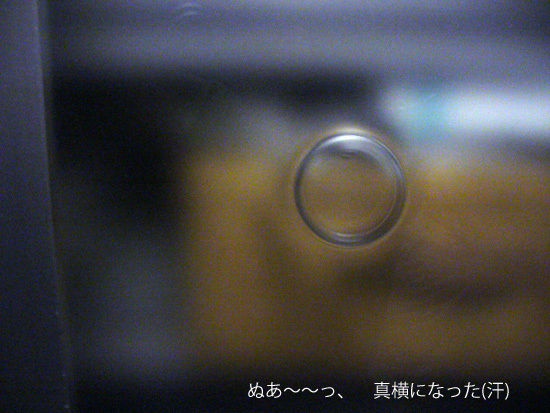 JUNAオフィシャルブログ「Quality of Life by JUNA」Powered by Ameba
