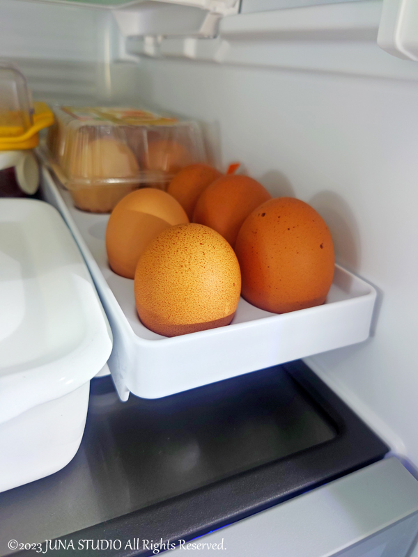春巻き／新冷蔵庫に食材を入れてみた＆セカンド冷蔵庫はこれに