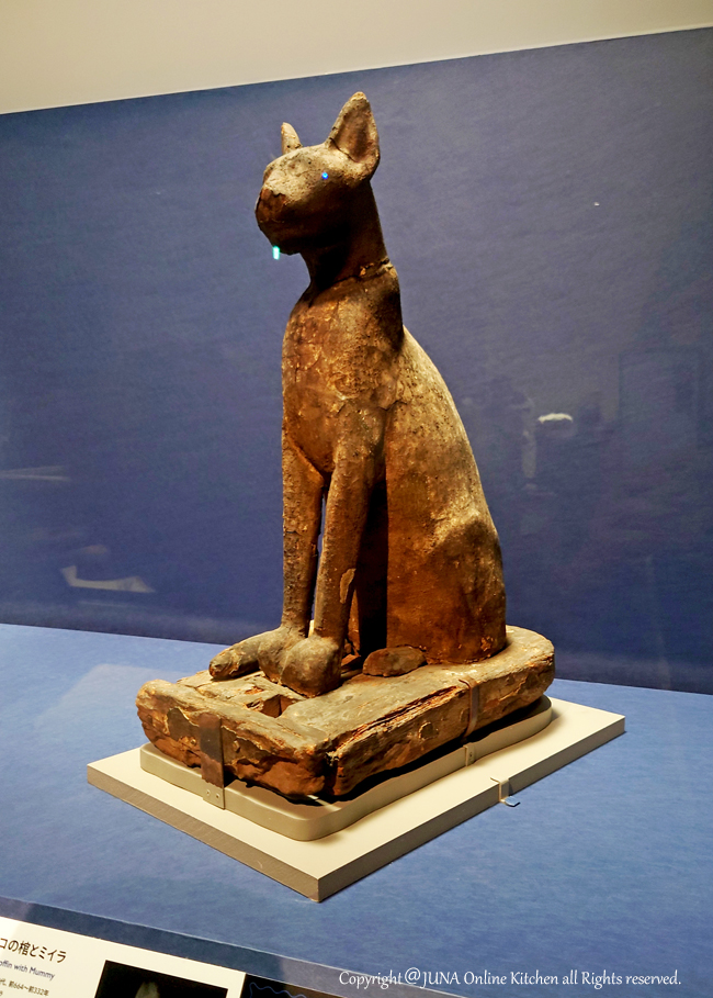 Egypt6