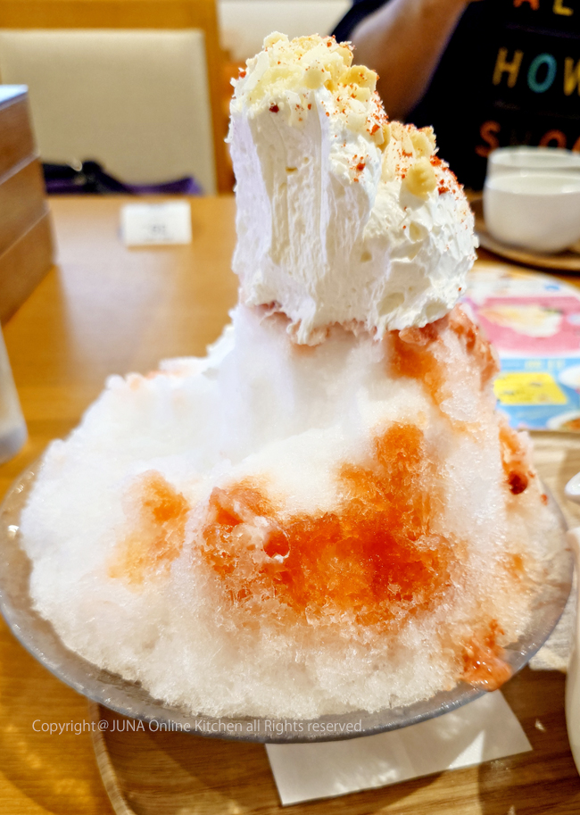 kakigoori07264