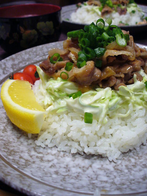 さっぱり豚丼