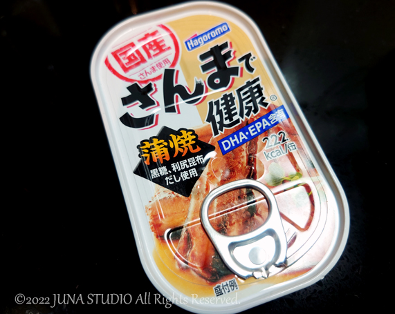 sanma-p1022a