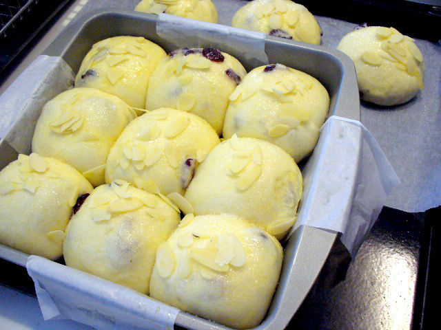 P1290792a.jpg