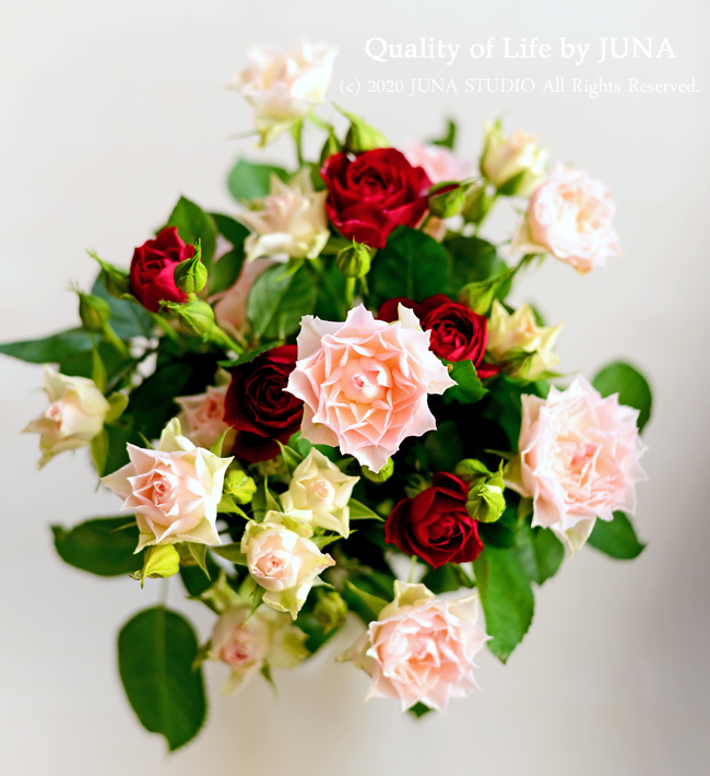 rose2