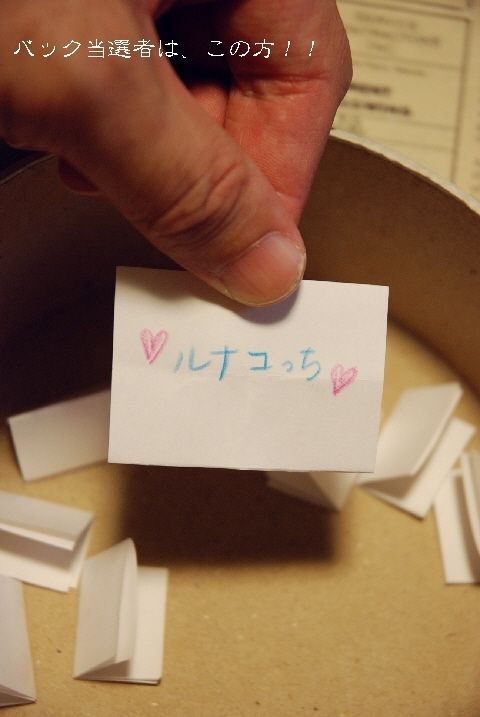 bag-bi.jpg