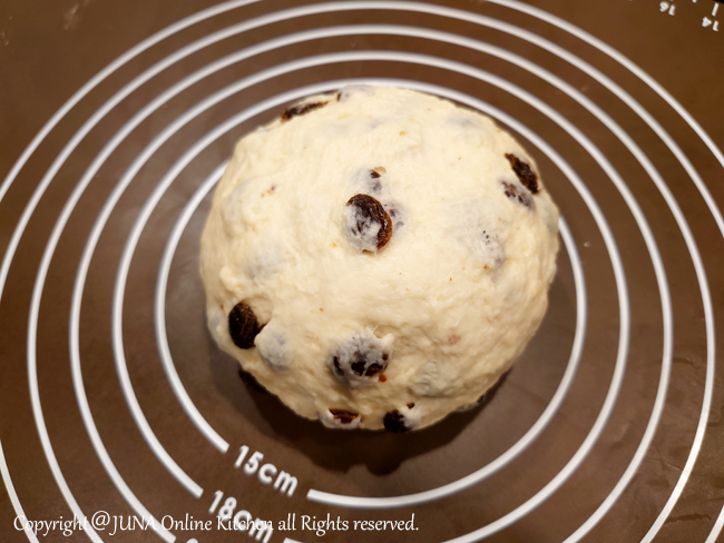 raisin-ball1225l