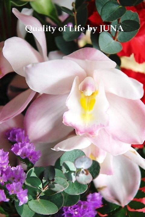 flo02092.jpg