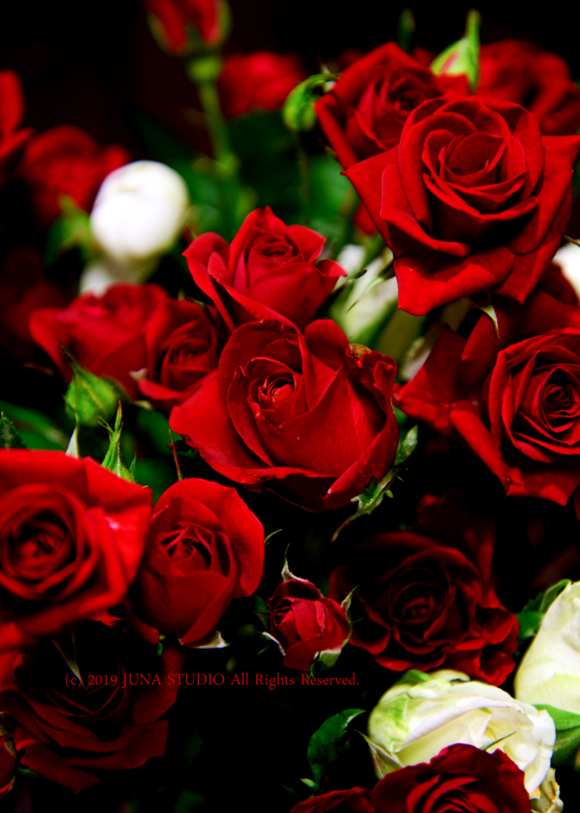 rose07192