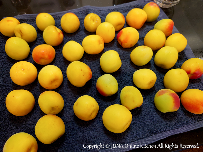 umeboshi0624d