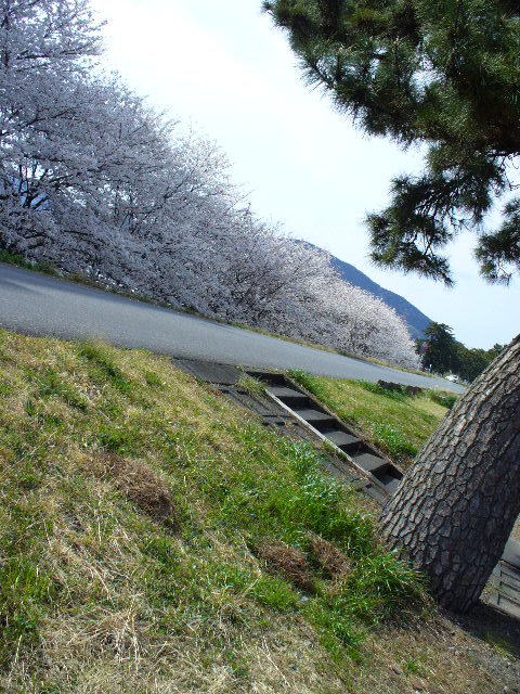 P1100045.jpg