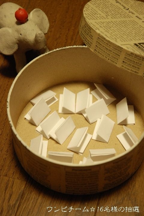 op-16-p.jpg