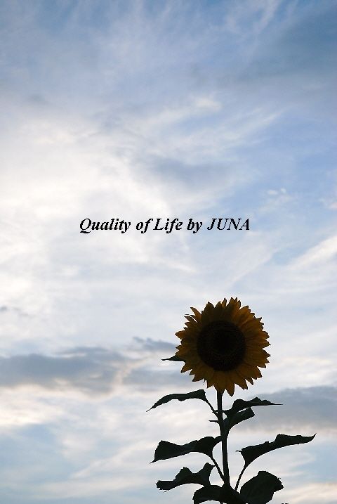 sun-f-sky.jpg