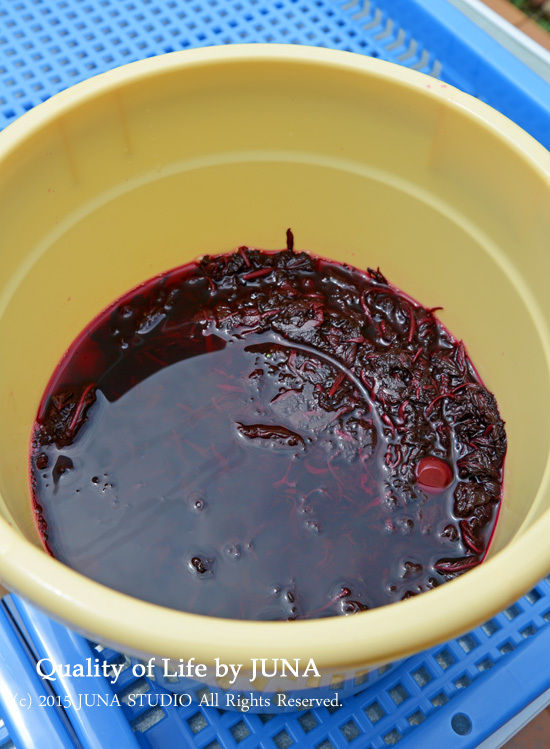 梅干し作りの続き