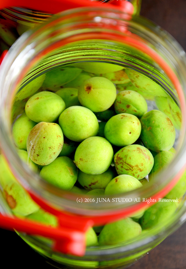 ume06167
