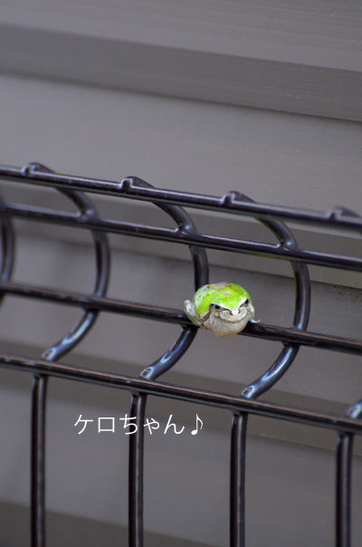 JUNAオフィシャルブログ「Quality of Life by JUNA」Powered by Ameba