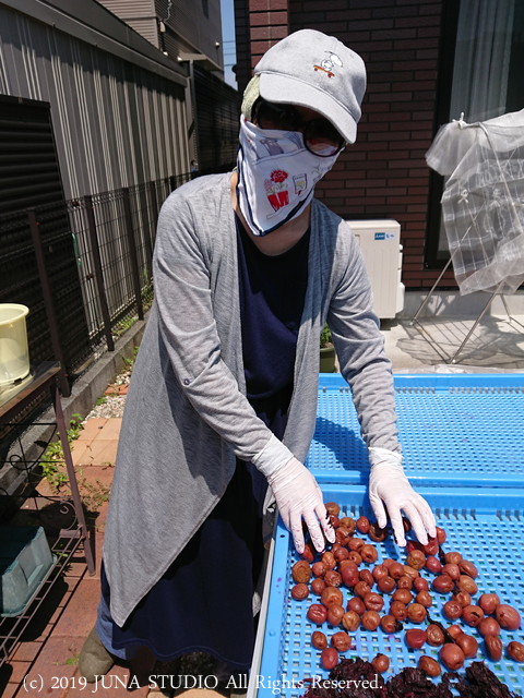 ume-j3