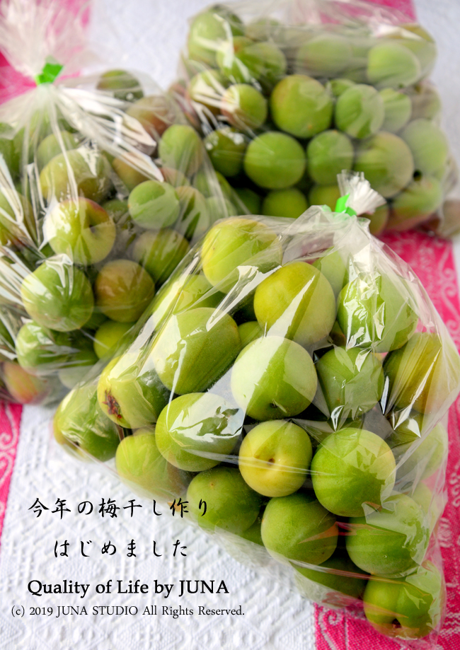 umeboshi05191