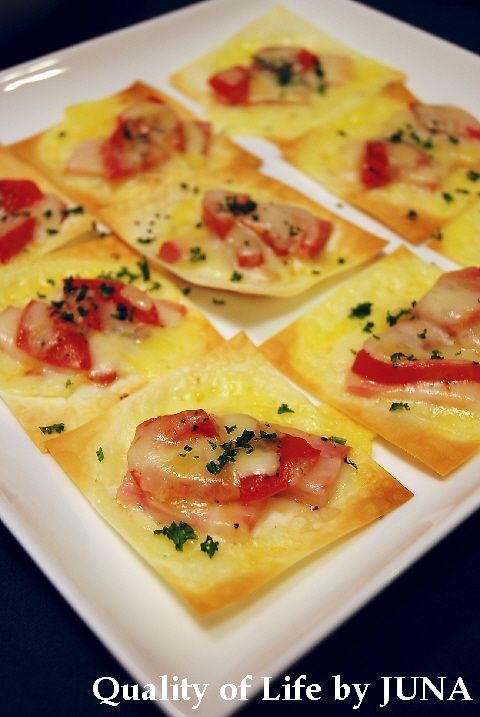 wantan-piza0509.jpg