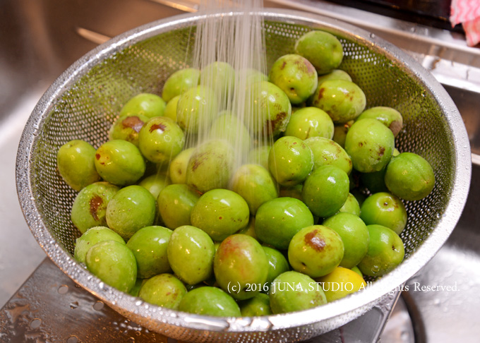 ume06162
