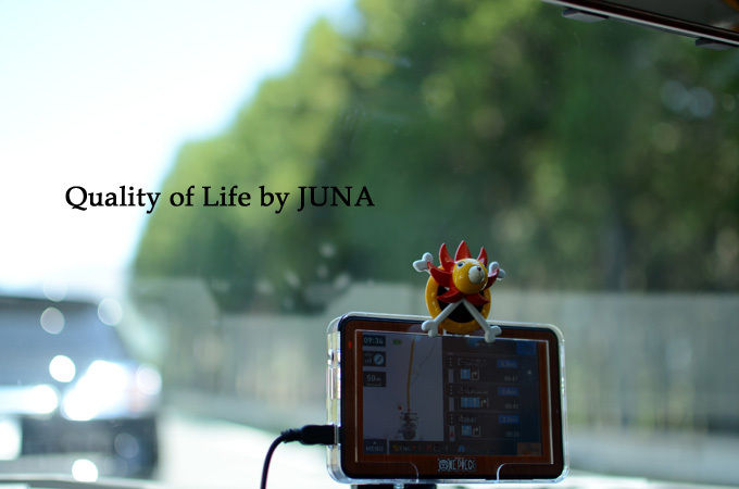 2～3日ブログお休みしま～す♪