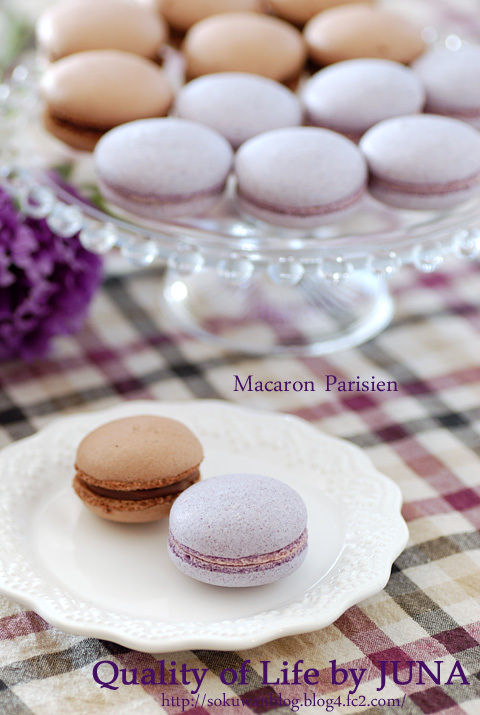 macaron-cp1.jpg