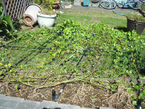 JUNAオフィシャルブログ「Quality of Life by JUNA」Powered by Ameba