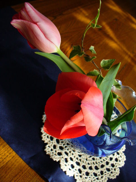 P1100208.jpg
