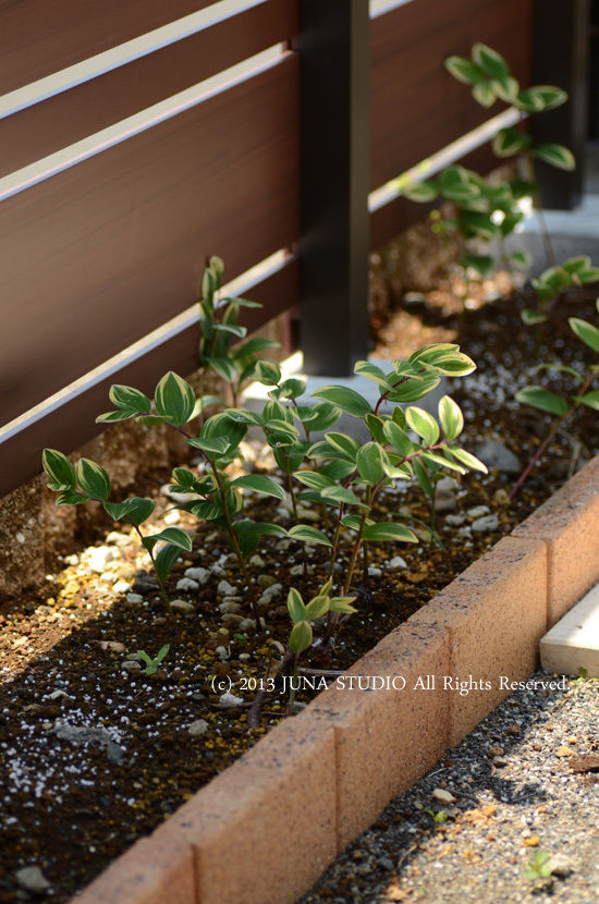 JUNAオフィシャルブログ「Quality of Life by JUNA」Powered by Ameba