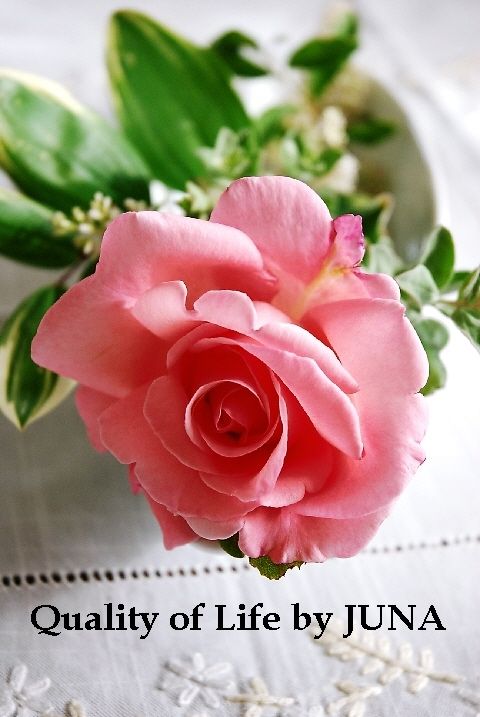 rose-bo0509.jpg