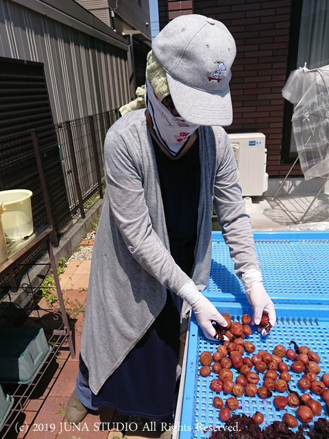 ume-j2