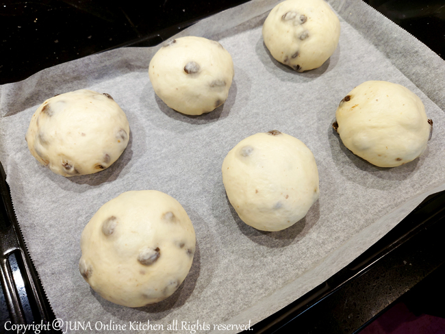 raisin-ball1225q