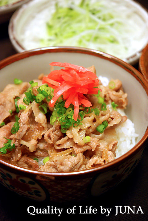我が家の豚丼